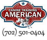 Dog Boarding and Dog Training Las Vegas,  Nevada