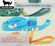 Dog accessories store in Las Vegas | Boss Dog Dodo
