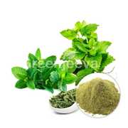 Bulk Organic Peppermint Leaf Powder | Organic Peppermint Powder Suppli