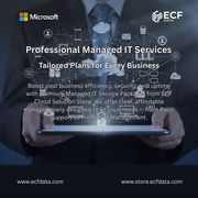 Professional Managed IT Services – Tailored Plans for Every Business